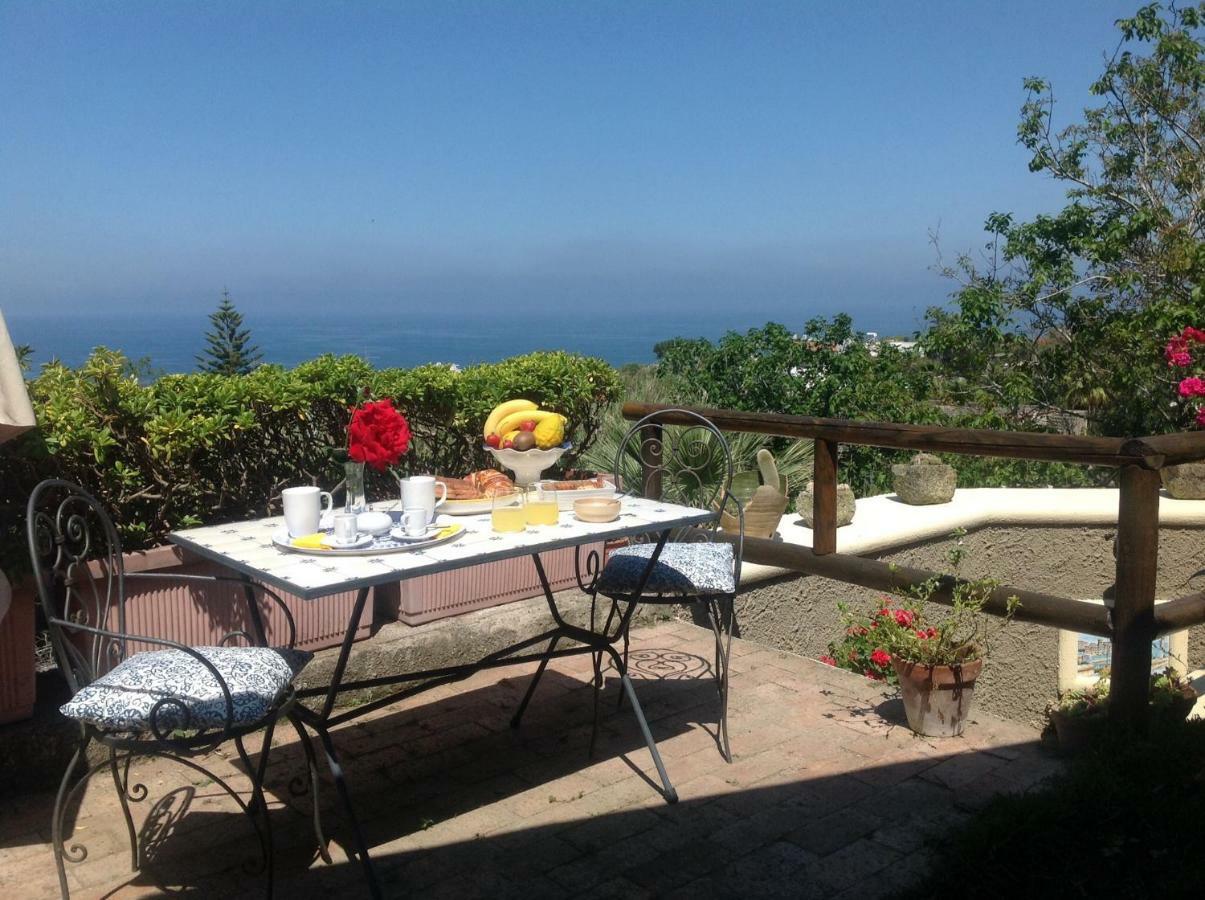 Forio di IschiaLa Terrazzina Sul Tramonto住宿加早餐旅馆 外观 照片