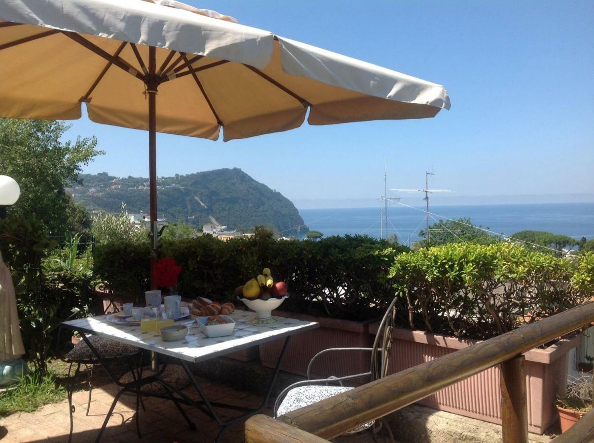 Forio di IschiaLa Terrazzina Sul Tramonto住宿加早餐旅馆 外观 照片