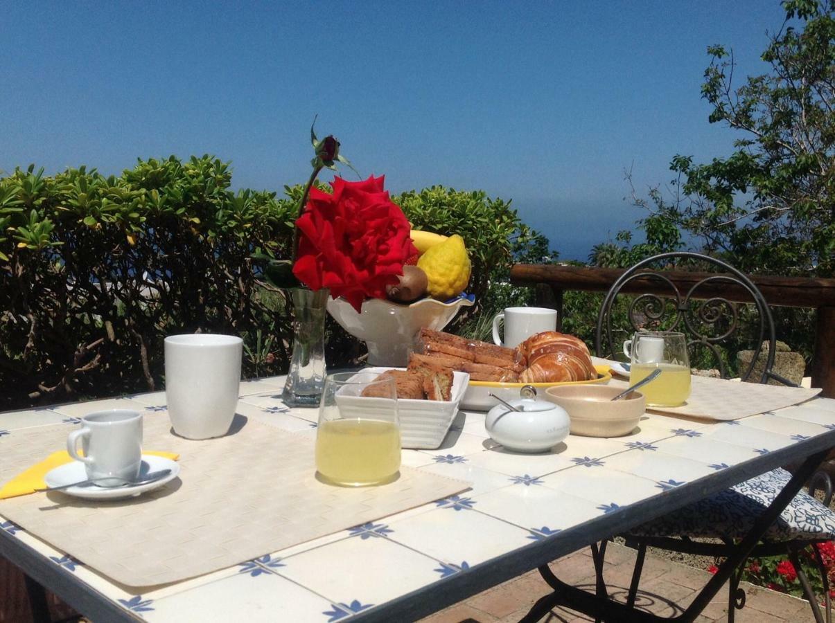 Forio di IschiaLa Terrazzina Sul Tramonto住宿加早餐旅馆 外观 照片